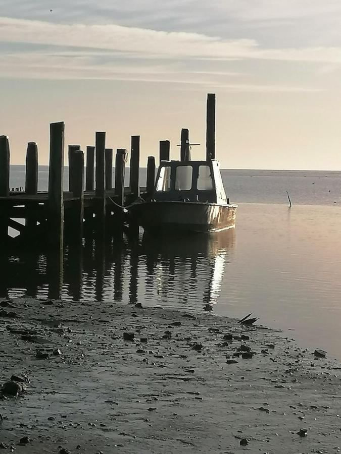 Bed and Breakfast Dock10Texel De Cocksdorp  Exterior foto